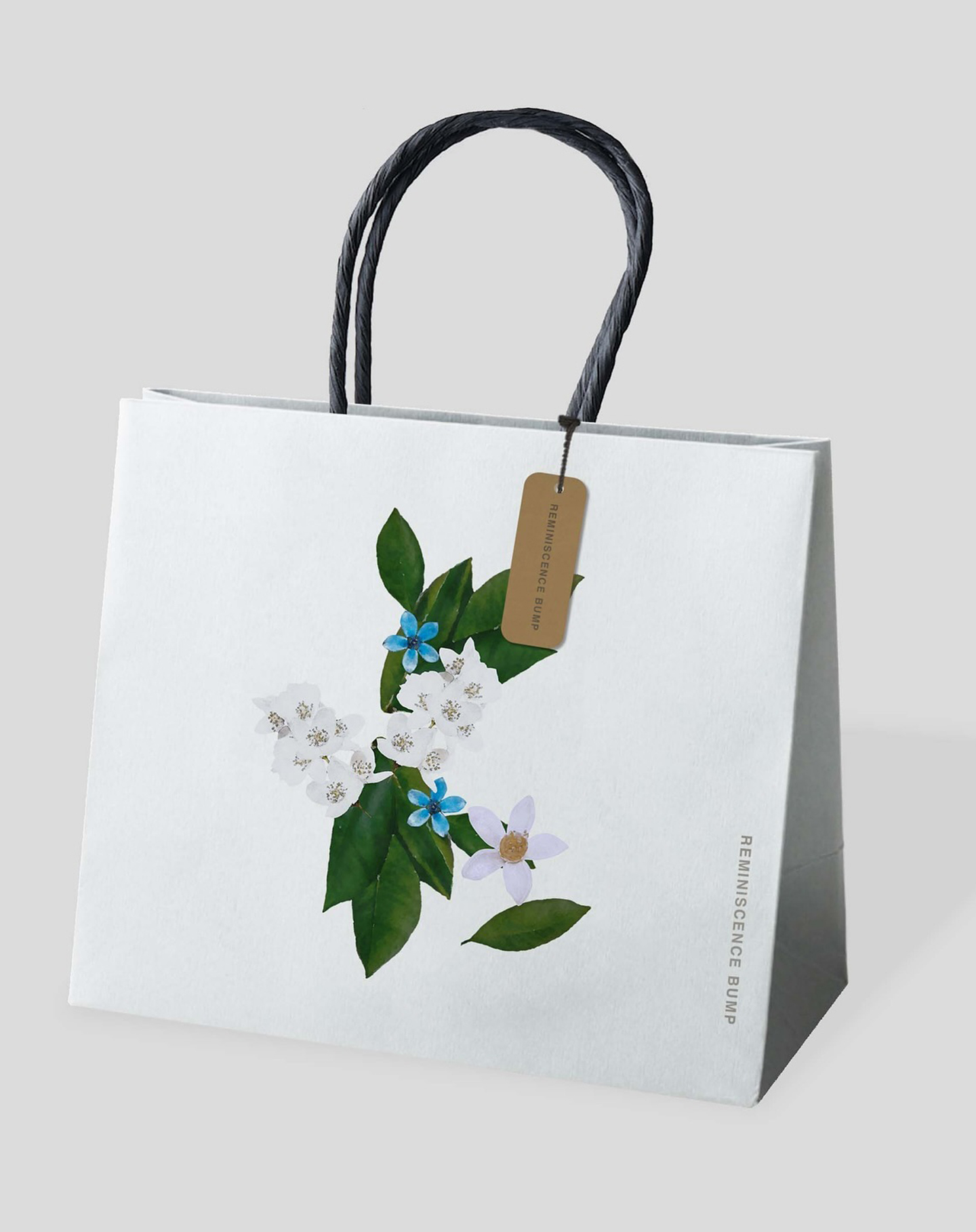 Paper bag