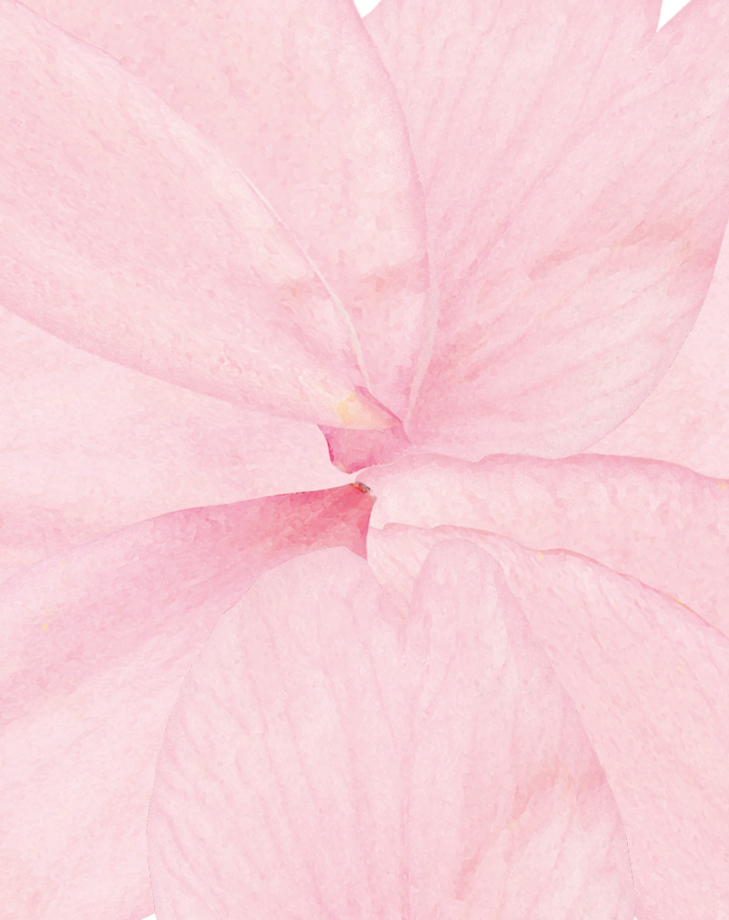 flowers pattern